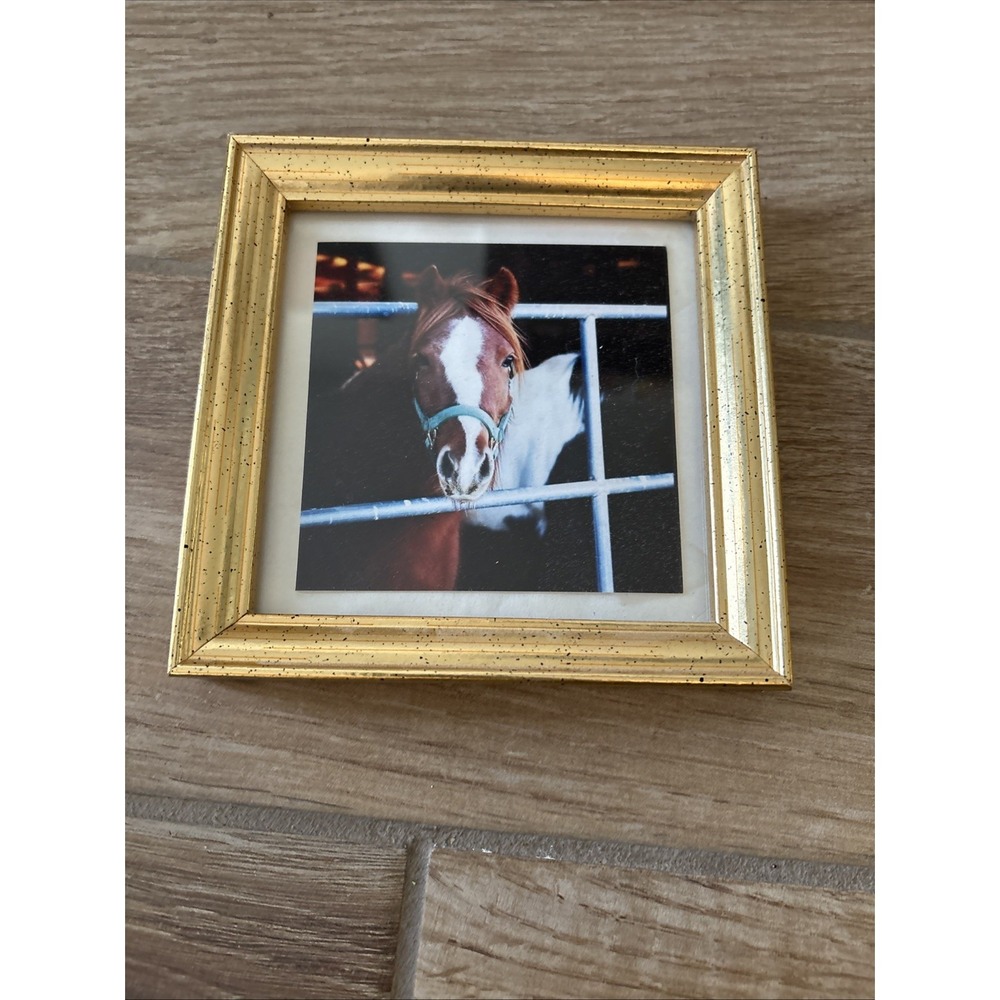 Picture Frame‎ with Horse picture Design 6"x6"